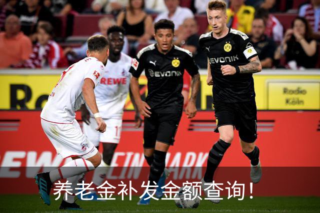 养老金补发金额查询!